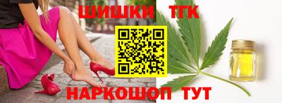 шишки Новодвинск