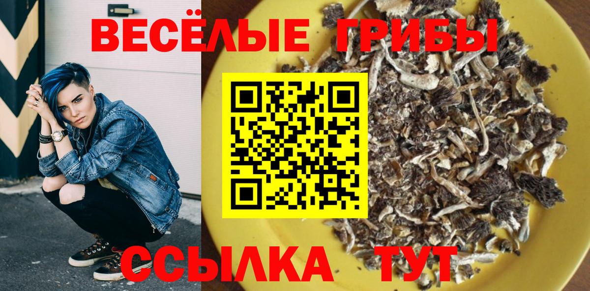Галлюциногенные грибы Psilocybine cubensis Ухта